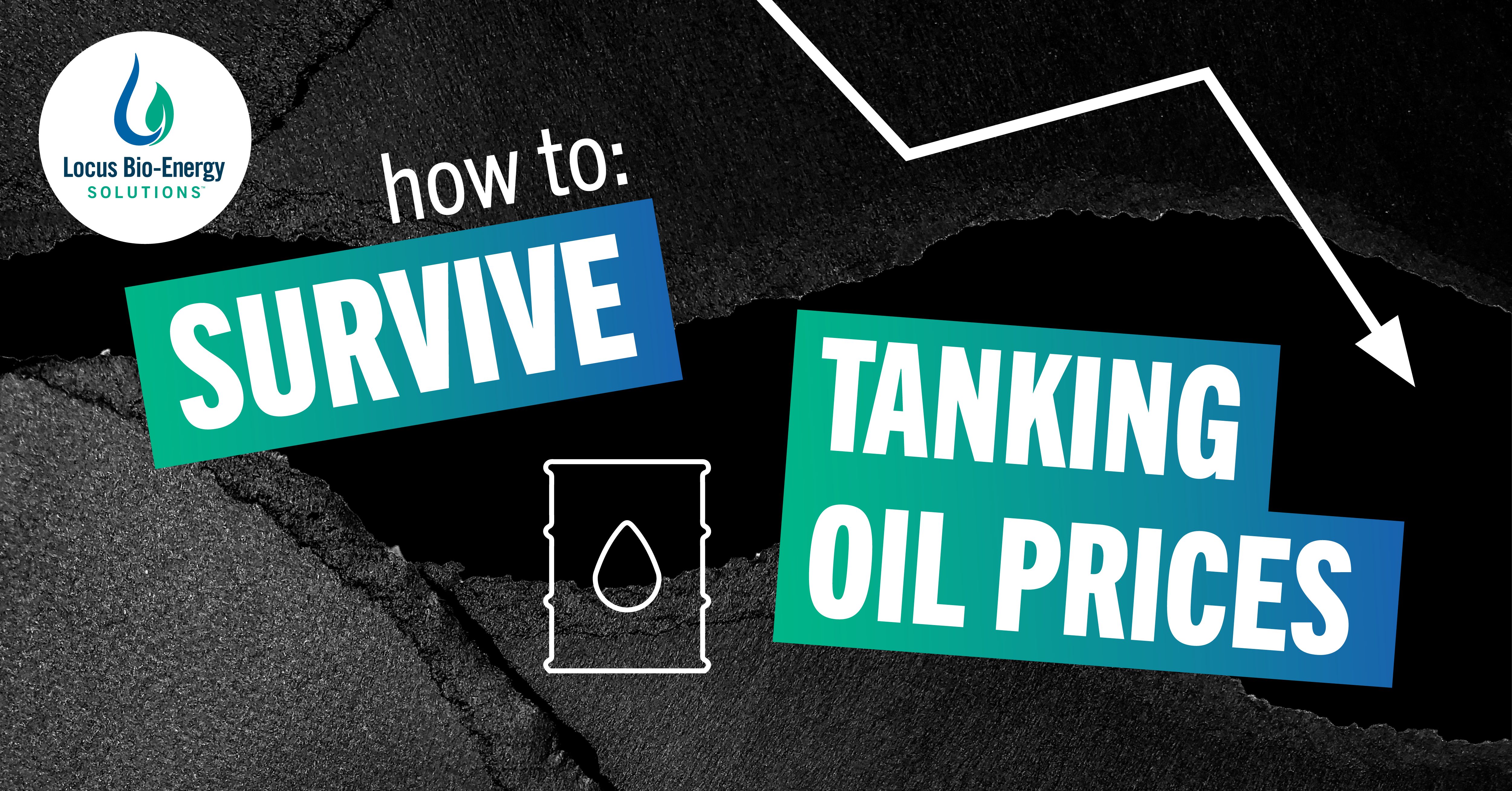 How To Survive Tanking Oil Prices
